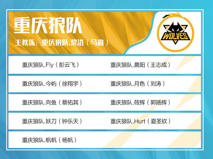 如何看遭TT横扫？败者群访xiaohu：要扩充体系 能选的阵容比较少